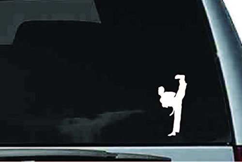 Picniva Martial Arts Fighter Sty215 Vinyl Car Window Decal, Approx 5 in