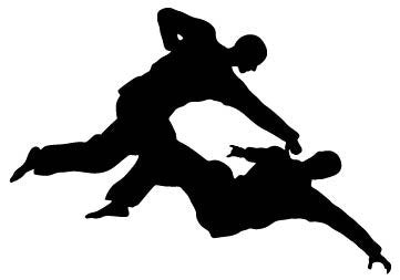Picniva Fighting Sport Type 12 Removable Vinyl Wall Decal