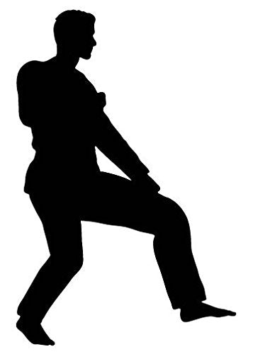 Picniva Fighting Sport Style 119 Removable Vinyl Wall Decal