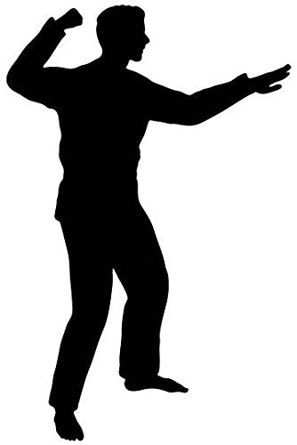 Picniva Fighting Sport Type 37 Removable Vinyl Wall Decal