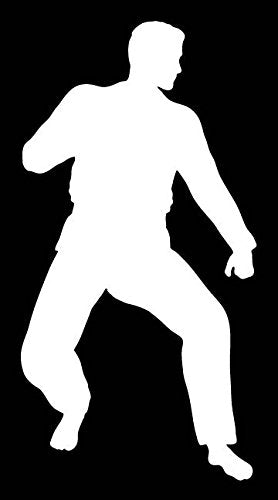 Picniva Martial Arts Fighter Sty121 Vinyl Car Window Decal, Approx 5 in