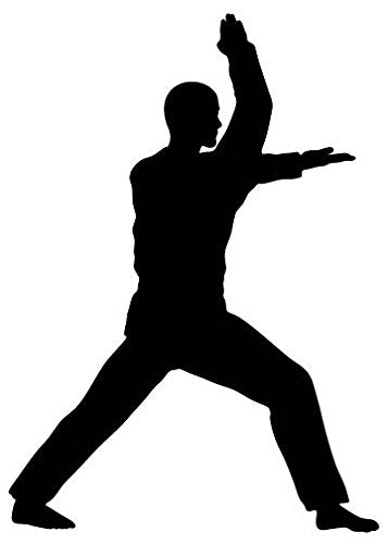 Picniva Martial Artist High Block Removable Vinyl Wall Decal