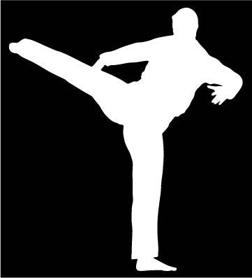 Picniva Martial Arts Fighter Type27 Vinyl Car Window Decal, Approx 5 in