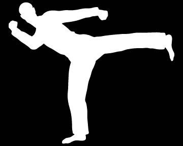 Picniva Martial Arts Fighter Sty133 Vinyl Car Window Decal, Approx 5 in