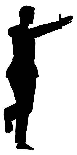 Picniva Fighting Sport Style 156 Removable Vinyl Wall Decal