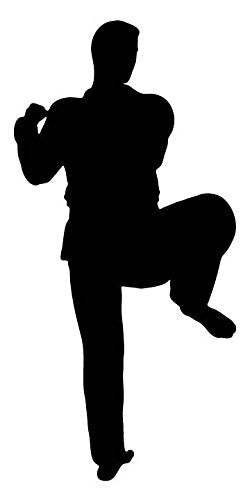 Picniva Fighting Sport Style 140 Removable Vinyl Wall Decal
