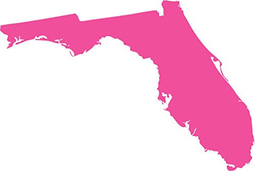 Picniva Florida State Map Vinyl Car Window Decal, Pink, 3 in Wide