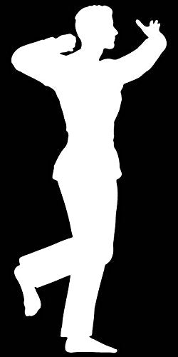 Picniva Martial Arts Fighter Sty157 Vinyl Car Window Decal, Approx 5 in