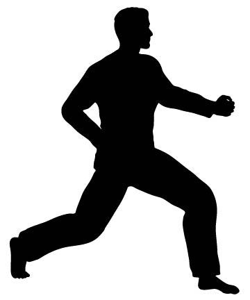 Picniva Fighting Sport Style 151 Removable Vinyl Wall Decal
