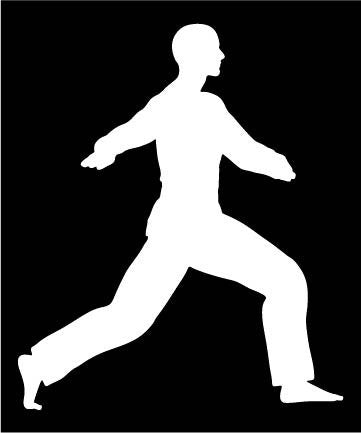 Picniva Martial Arts Fighter Type52 Vinyl Car Window Decal, Approx 5 in