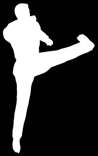 Picniva Martial Arts Fighter Sty146 Vinyl Car Window Decal, Approx 5 in