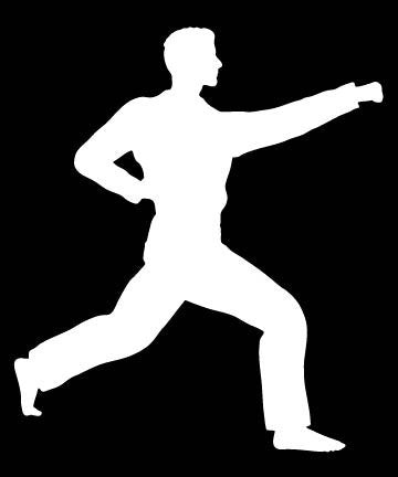 Picniva Martial Arts Fighter Sty171 Vinyl Car Window Decal, Approx 5 in