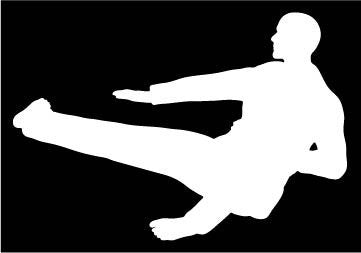 Picniva Martial Arts Fighter Type4 Vinyl Car Window Decal, Approx 5 in