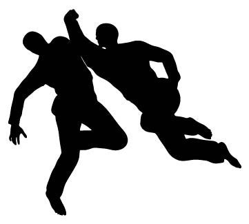 Picniva Fighting Sport Type 18 Removable Vinyl Wall Decal