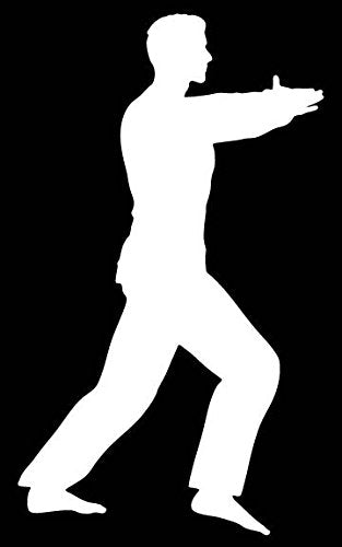 Picniva Martial Arts Fighter Sty159 Vinyl Car Window Decal, Approx 5 in