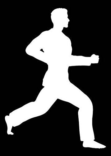 Picniva Martial Arts Fighter Sty195 Vinyl Car Window Decal, Approx 5 in