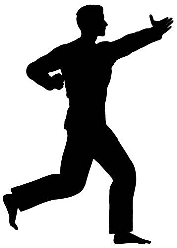 Picniva Martial Artist Open Palm Lunge Removable Vinyl Wall Decal