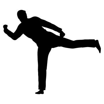 Picniva Fighting Sport Style 131 Removable Vinyl Wall Decal