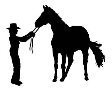 Picniva Cowgirl Style l7 Removable Vinyl Wall Decal - Color: cowgir stylel7