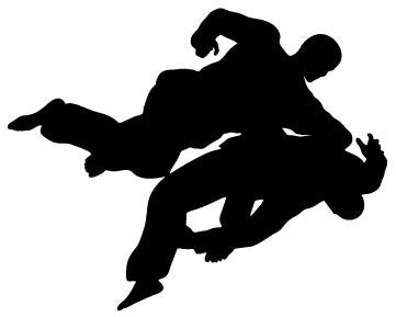 Picniva Fighting Sport Type 24 Removable Vinyl Wall Decal