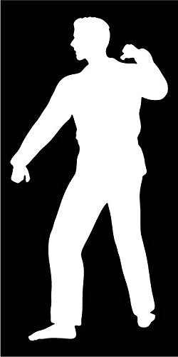 Picniva Martial Arts Fighter Type33 Vinyl Car Window Decal, Approx 5 in