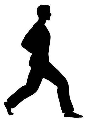 Picniva Fighting Sport Style 182 Removable Vinyl Wall Decal