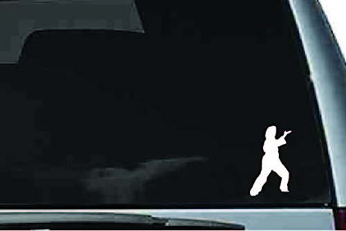 Picniva Martial Arts Fighter Sty222 Vinyl Car Window Decal, Approx 5 in
