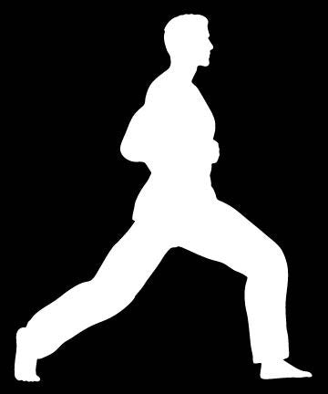Picniva Martial Arts Fighter Sty165 Vinyl Car Window Decal, Approx 5 in