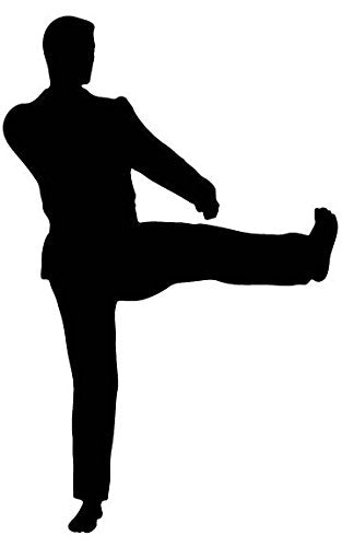 Picniva Martial Artist Straight Kick Removable Vinyl Wall Decal