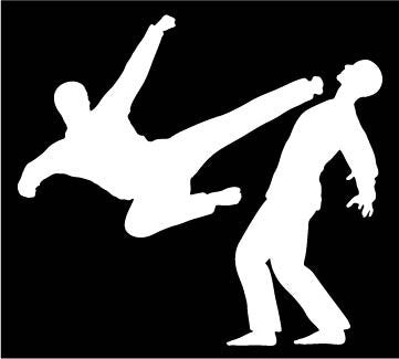 Picniva Martial Arts Fighter Type7 Vinyl Car Window Decal, Approx 5 in