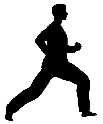 Picniva Fighting Sport Style 166 Removable Vinyl Wall Decal