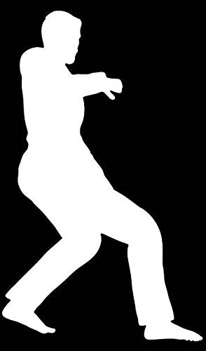 Picniva Martial Arts Fighter Sty120 Vinyl Car Window Decal, Approx 5 in