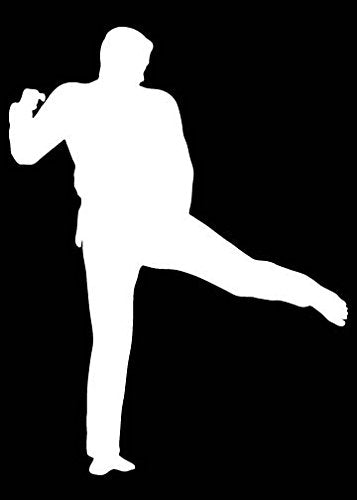 Picniva Martial Arts Fighter Sty128 Vinyl Car Window Decal, Approx 5 in