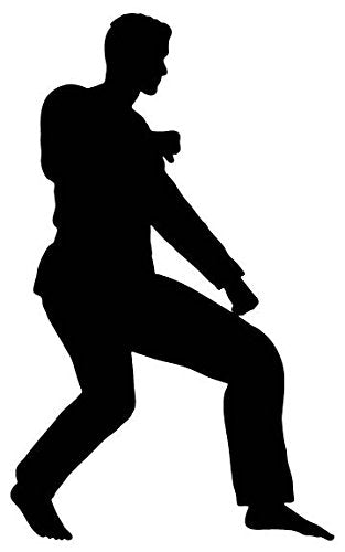 Picniva Fighting Sport Style 122 Removable Vinyl Wall Decal