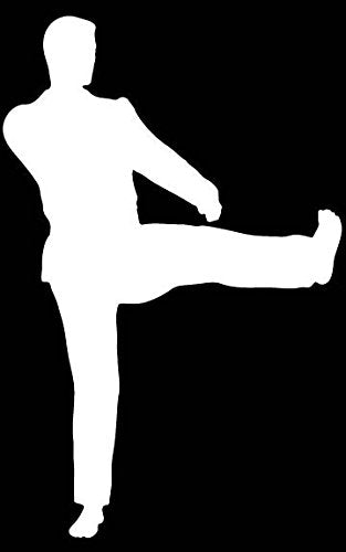 Picniva Martial Arts Fighter Sty94 Vinyl Car Window Decal, Approx 5 in