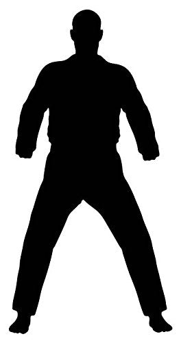 Picniva Fighting Sport Type 39 Removable Vinyl Wall Decal