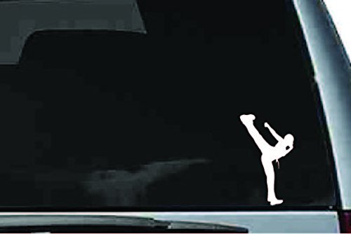 Picniva Martial Arts Fighter Sty7 Vinyl Car Window Decal, Approx 5 in