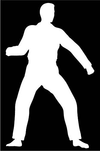 Picniva Martial Arts Fighter Type36 Vinyl Car Window Decal, Approx 5 in