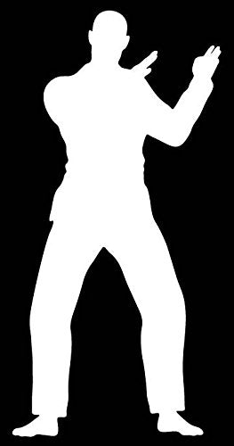 Picniva Martial Arts Fighter Sty63 Vinyl Car Window Decal, Approx 5 in