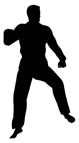 Picniva Fighting Sport Style 126 Removable Vinyl Wall Decal