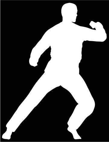 Picniva Martial Arts Fighter Type2 Vinyl Car Window Decal, Approx 5 in