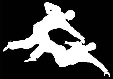 Picniva Martial Arts Fighter Type12 Vinyl Car Window Decal, Approx 5 in