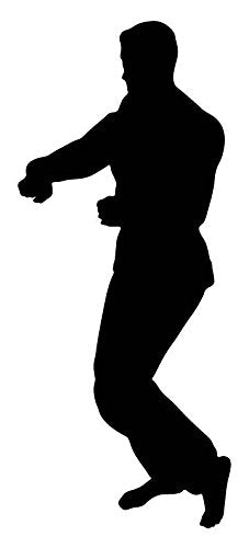 Picniva Martial Artist Turning Pose Removable Vinyl Wall Decal