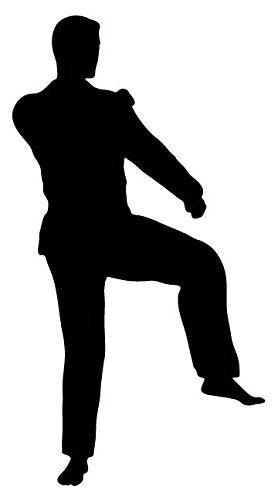 Picniva Fighting Sport Style 92 Removable Vinyl Wall Decal