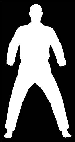 Picniva Martial Arts Fighter Type39 Vinyl Car Window Decal, Approx 5 in