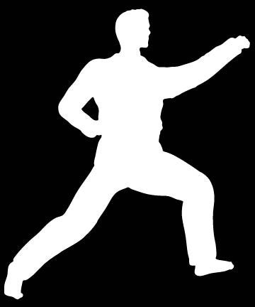 Picniva Martial Arts Fighter Sty169 Vinyl Car Window Decal, Approx 5 in