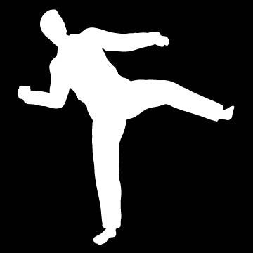 Picniva Martial Arts Fighter Sty139 Vinyl Car Window Decal, Approx 5 in
