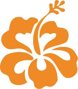 Decaltor Hawaiian Hibiscus Flower Vinyl Decal, 5 in square