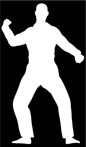 Picniva Martial Arts Fighter Type44 Vinyl Car Window Decal, Approx 5 in
