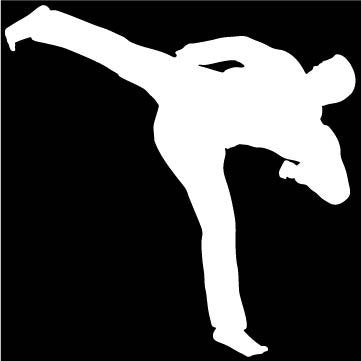 Picniva Martial Arts Fighter Type28 Vinyl Car Window Decal, Approx 5 in